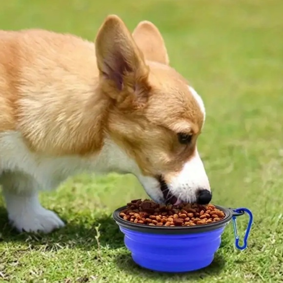 1pc Portable Folding Dog Bowl - Compact, Soft Rubber, Collapsible, NIP, Small - Picture 7 of 7